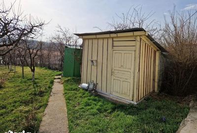 Teren de 1059 mp, în Trifești - 8