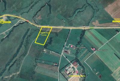 Teren superb cu PUZ in zona Panicel Rasnov spre Bran - 1