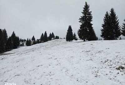 Teren de 25731 mp, în Breaza - 8