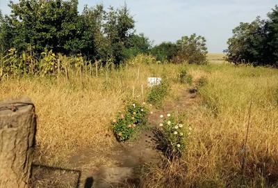 Casa de vanzare - 11