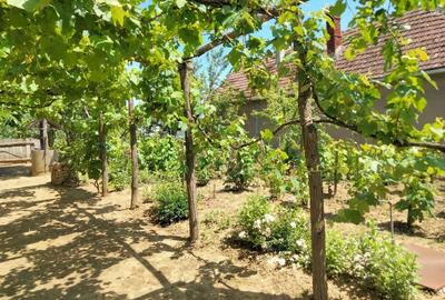 Casă cu 2 camere în Șimian - 6