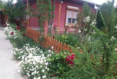 Casă cu 6 camere cu Teren 1270 Mp în Hodivoaia - 8