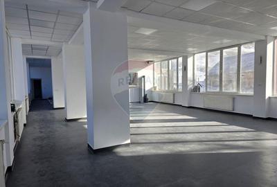 Vila / Pensiune / Camin / Azil seniori, zona superba Moeciu - 5