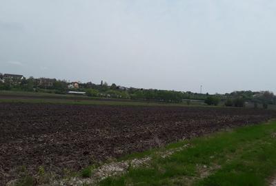 Teren de 7985 mp, în Beharca - 3