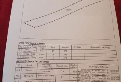 Casă cu 3 camere în Malu cu Flori - 8