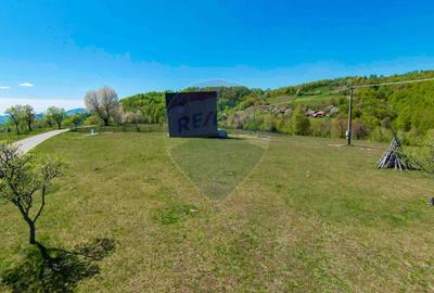 Casă individuală cu 7 camere cu Teren 30200 Mp în Prelucele - 30