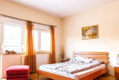 Vila Iancu Nicolae - 5