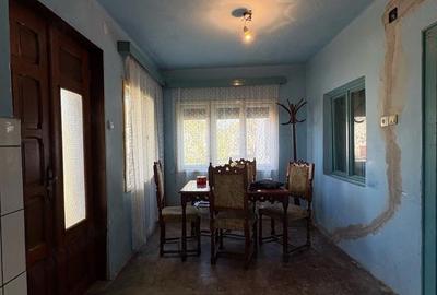 Casă cu 3 camere cu Teren 3000 Mp în Gothatea - 2