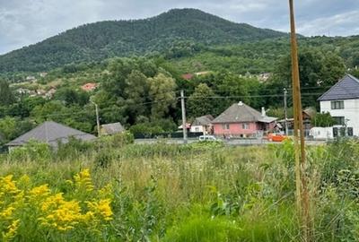 Teren Construcții intravilan de 2000 mp, în Valea Borcutului - 4