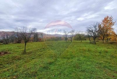 Teren de 7370 mp, în Mera