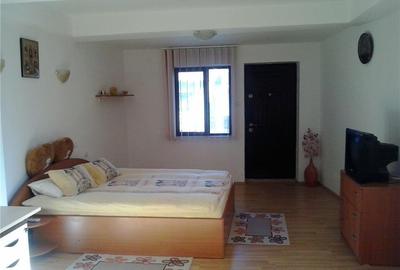 Garsonieră decomandată în Banat - 4