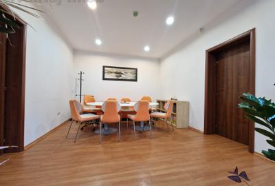 Piata Victoriei, Dorobanti, 8 camere, renovata integral 2015 - 3