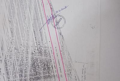 Teren de 15000 mp, în Puchenii Mari - 2