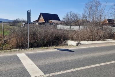 Spațiu comercial, în Alparea - 2