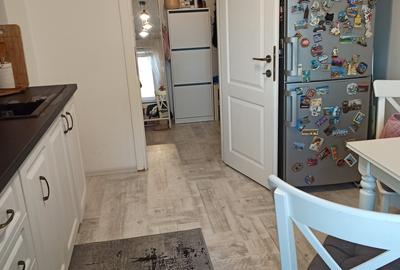 Apartament cu 3 camere decomandat, mobilat în Exercițiu - 4