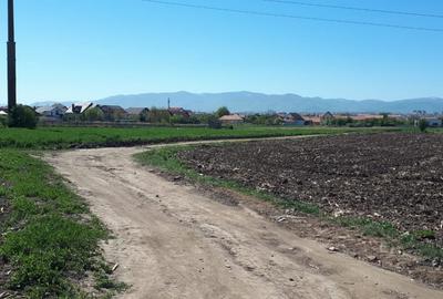 Teren de vanzare | 23.300mp | Gusterita - Oportunitate de investitie - 2