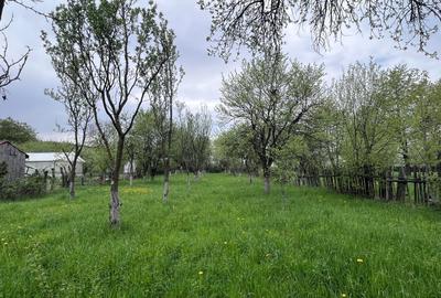 Teren Construcții intravilan de 2030 mp, în Tărlungeni - 4