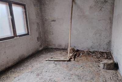 Casă individuală cu 5 camere cu Teren 4183 Mp în Secăria - 7