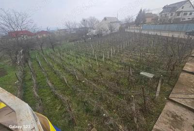 Casă cu 6 camere cu Teren 15000 Mp în Galata - 4