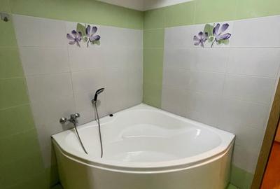 Apartament cu 2 camere semidecomandat, mobilat în Dumbrăvița - 7