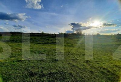 Teren de 2335 mp, în Borhanci