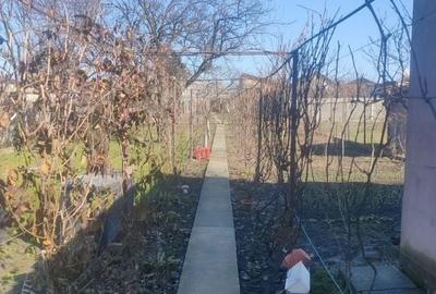 CASA CU TEREN 838 MP ZONA STEAUA - 19