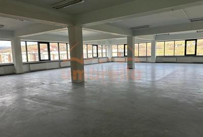 Birou, de 9,999 mp, în Iris - 12