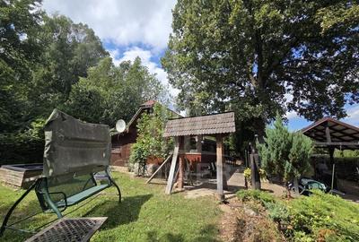 Teren deosebit cu cabană din lemn, Tocile – locație liniștită - 8