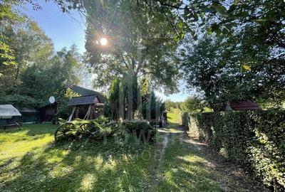 Teren de 2000 mp, în Sadu - 6