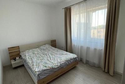 Apartament cu 2 camere decomandat în Calea Urseni - 9