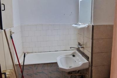 Apartament cu 2 camere decomandat în Malu Roșu - 12