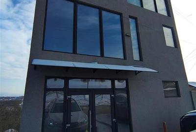 Spațiu comercial, de 240 mp, în Lunca Cetățuii - 3