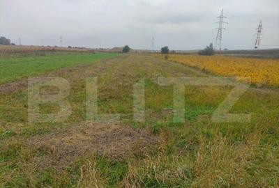 Teren de 2600 mp, în Rădăuți - 2