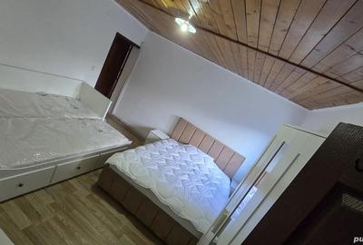 Pensiune cu 2 apartamente independente (total 8 camere) in Poiana Tapului - 5