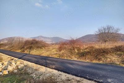 Teren de 3225 mp, în Șiria - 3