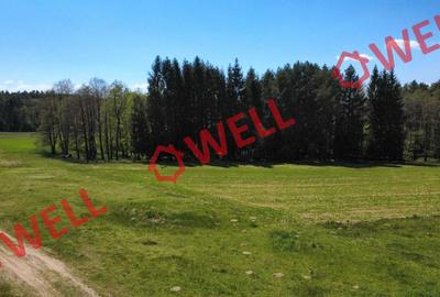 Teren agricol extravilan de 2900 mp, în Reci - 10