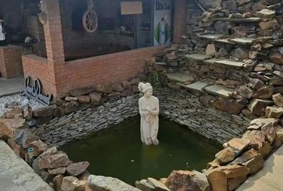 De vanzare vila, teren 500mp, Magurele - 10