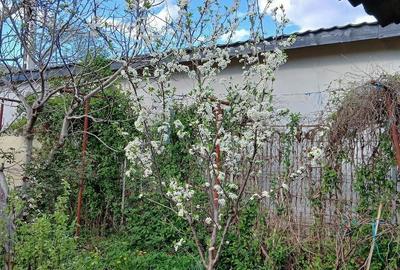 Casă cu 3 camere cu Teren 500 Mp în Dobrița - 2