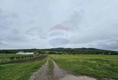 Teren de 1495 mp, în Dobreni - 11