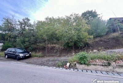 Oportunitate investitie, teren 5800 MP/32 ML, Dezmir Oportunitate investitie, teren 5800 MP/32 ML, Dezmir - 6