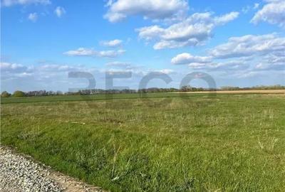 Teren de 848 mp, în Tărian - 2
