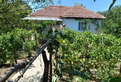 Casă cu 2 camere în Central - 1