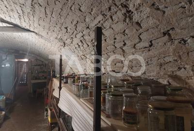 Casa in zona centrala 5 camere 2 bucatarii 3 bai curte comuna Cisnadie - 26