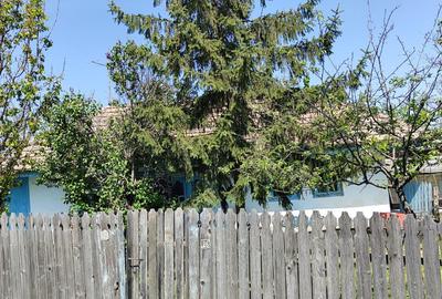 Casa si teren sat Epureni (Duda-Epureni), Vaslui - 3