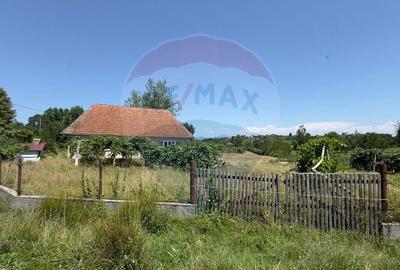 Casă individuală cu 3 camere cu Teren 3700 Mp în Arieșu de Pădure - 4