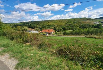 Spațiu comercial, în Săldăbagiu de Munte - 3