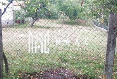 Teren Intravilan 10.000 mp | Livadă + Pădure de salcâm | Bărbătești - 6