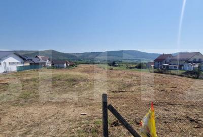 Teren intravilan 1 Ha si 42 Ari, zona Viisoara - 1