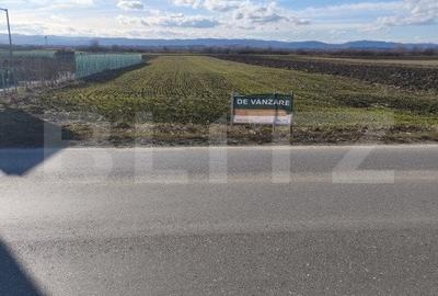 Teren intravilan ,4900 mp , 25ml front, Fratautii Vechi, Radauti - 1