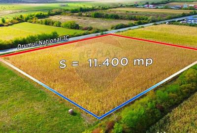 Teren de 11400 mp, în Finteușu Mare - 3
